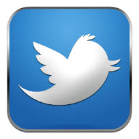 Seguici su Twitter